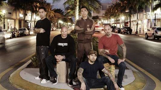 Miami Ink - Backdrop