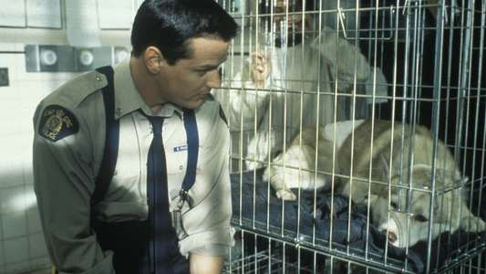 Due South - Backdrop