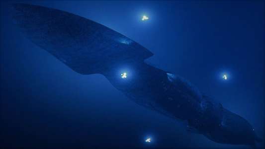 seaQuest DSV - Backdrop