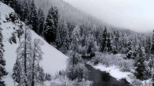 Earth Moods - Backdrops