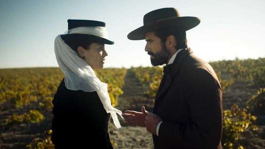 The Vineyard - Backdrop