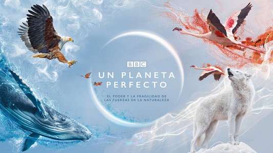 A Perfect Planet - Backdrops