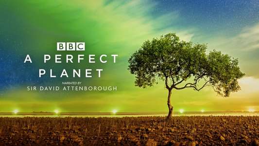 A Perfect Planet - Backdrops