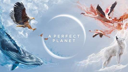 A Perfect Planet - Backdrops