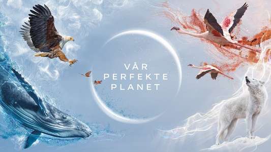 A Perfect Planet - Backdrops