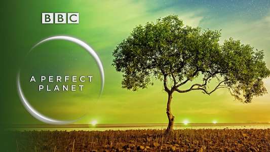 A Perfect Planet - Backdrops