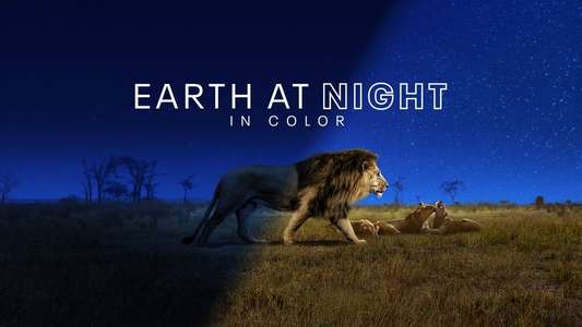 Earth At Night In Color - Backdrops