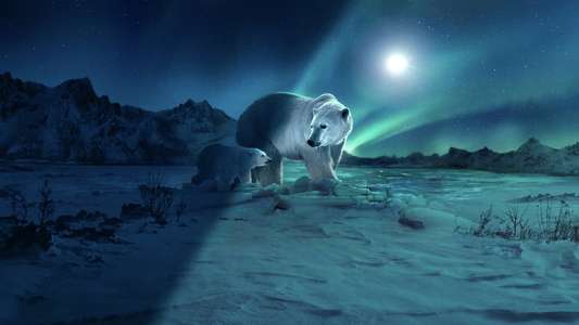 Earth At Night In Color - Backdrops