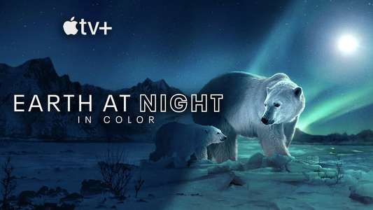 Earth At Night In Color - Backdrops