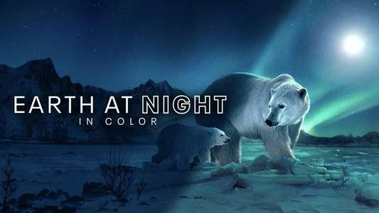 Earth At Night In Color - Backdrops