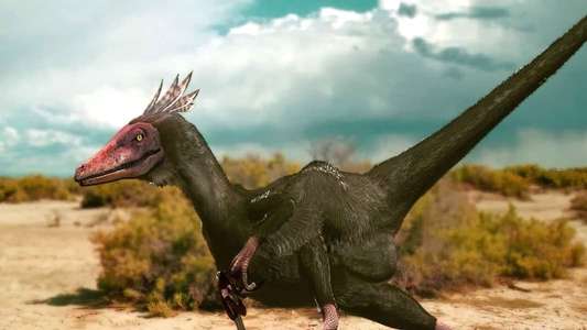 Walking with Dinosaurs - Backdrops