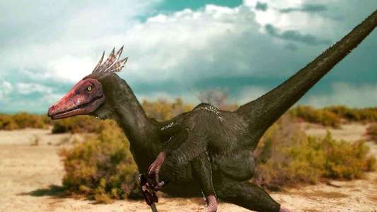 Walking with Dinosaurs - Backdrops