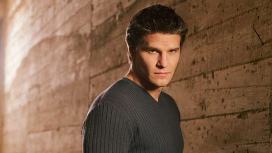 Angel - Backdrops