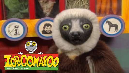 Zoboomafoo - Backdrop