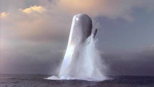Moby Dick - Backdrop