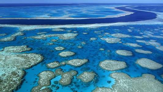 Billy Connolly's World Tour of Australia - Backdrop