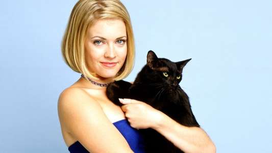 Sabrina  the Teenage Witch - Backdrop
