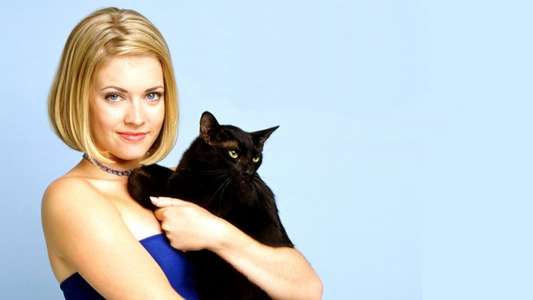 Sabrina  the Teenage Witch - Backdrop