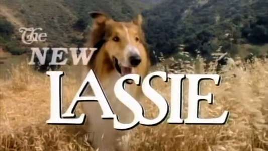 The New Lassie - Backdrop