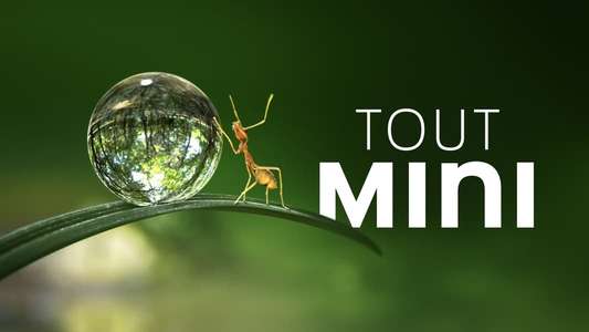 Tiny World - Backdrops