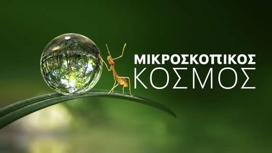 Tiny World - Backdrops