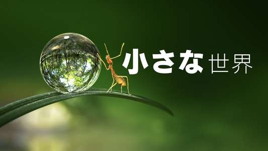 Tiny World - Backdrops