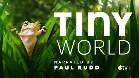 Tiny World - Backdrops