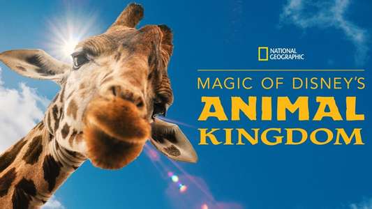 Magic of the Animal Kingdom - Backdrops