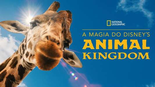 Magic of the Animal Kingdom - Backdrops