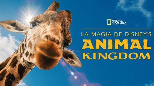 Magic of the Animal Kingdom - Backdrops