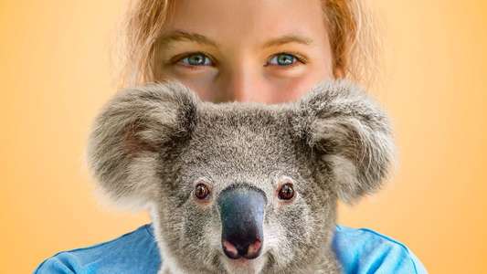Izzy's Koala World - Backdrop