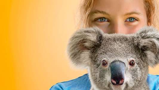 Izzy's Koala World - Backdrop