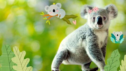 Izzy's Koala World - Backdrop