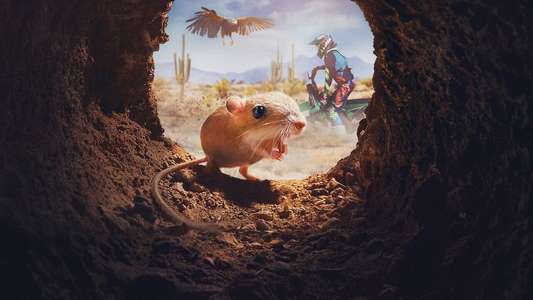 Tiny Creatures - Backdrops