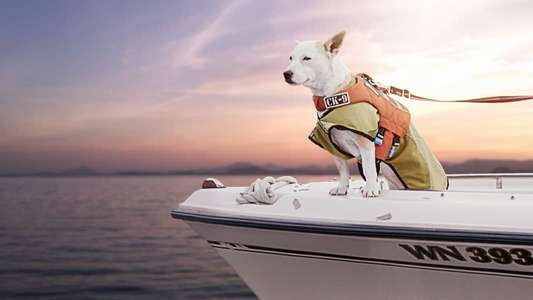 It's A Dog's Life - Backdrops