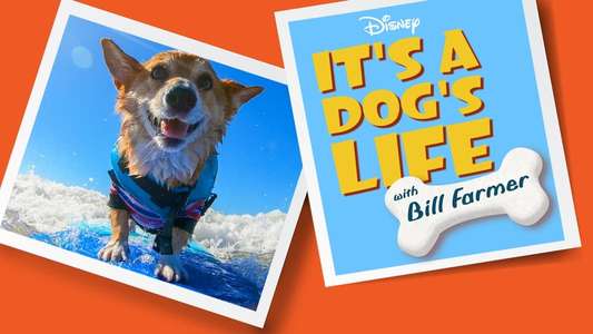 It's A Dog's Life - Backdrops