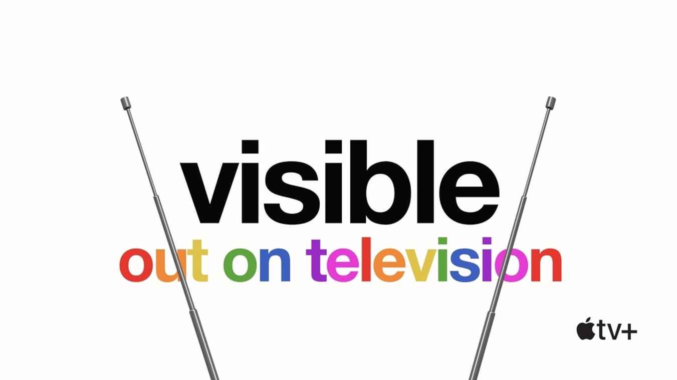 Visible: Out on Television