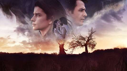 The Gift - Backdrops