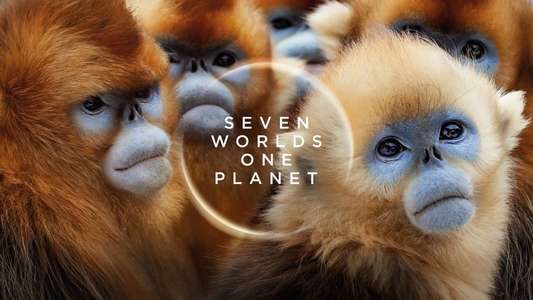 Seven Worlds One Planet - Backdrops