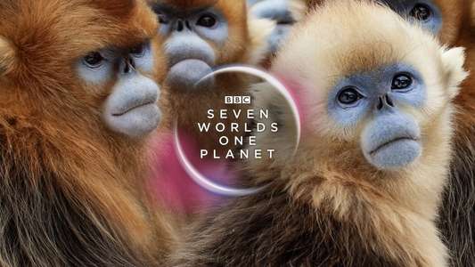 Seven Worlds One Planet - Backdrops