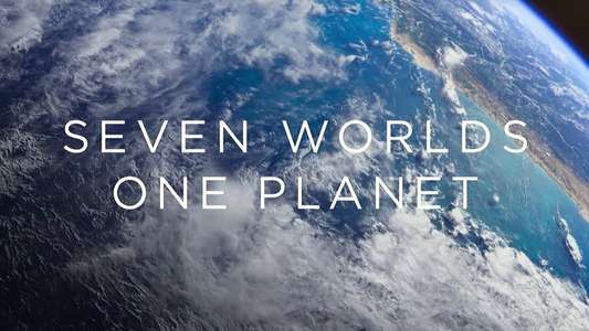 Seven Worlds One Planet - Backdrops