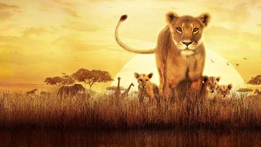 Serengeti - Backdrops