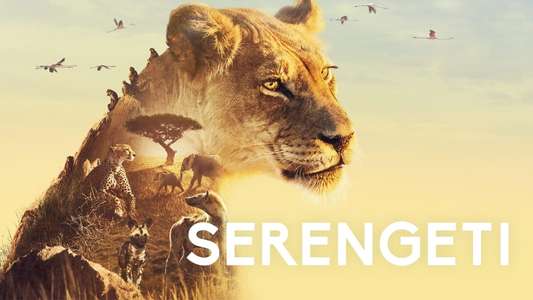 Serengeti - Backdrops