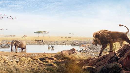Serengeti - Backdrops