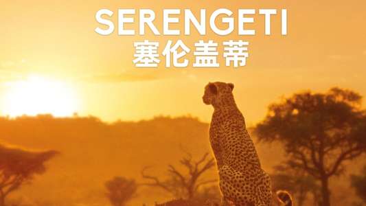 Serengeti - Backdrops