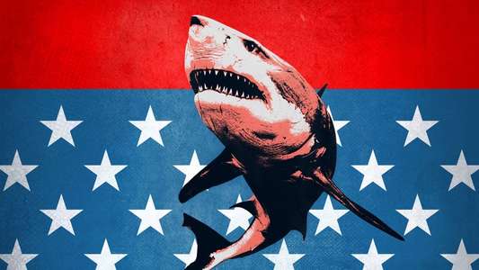 Shark Week - Backdrops