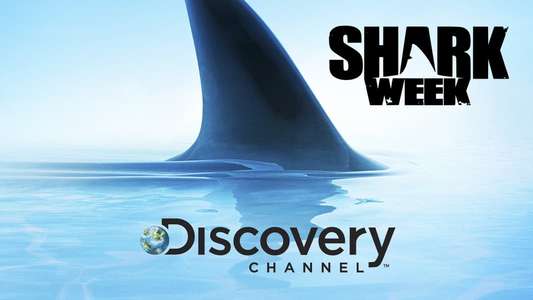 Shark Week - Backdrops