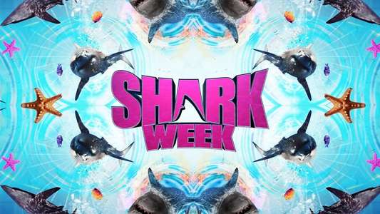 Shark Week - Backdrops