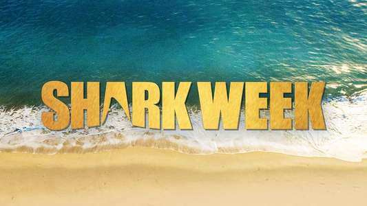 Shark Week - Backdrops