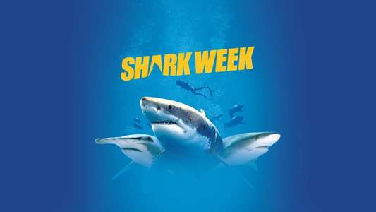 Shark Week - Backdrops